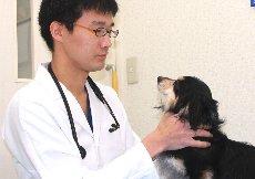動物看護師募集です