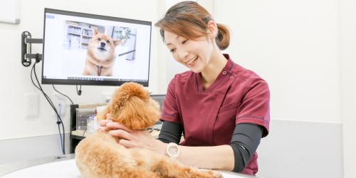 診るだけではない。未来を創る獣医師へ。