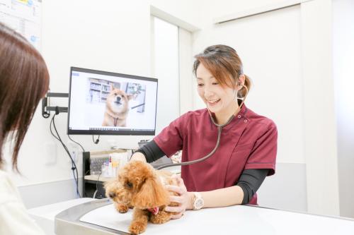 看護師の力で、人とペットの暮らしを支える