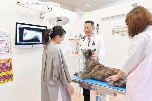 獣医師募集｜新卒30万円～・固定残業代なし