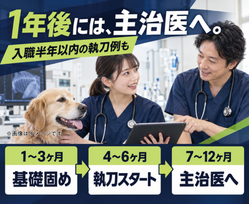 【群馬】3科の専門診療＋二次診療出身医が在籍