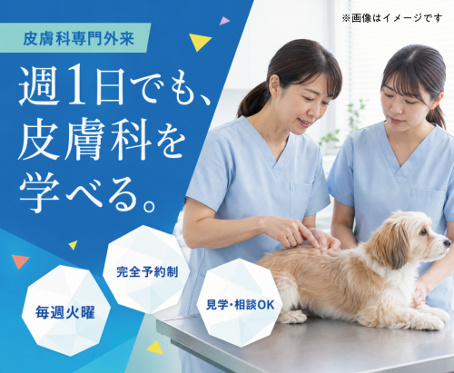 【立川】獣医師パート｜週1日〜｜ブランクOK