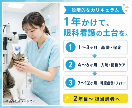 【世田谷】愛玩動物看護師｜日祝休み｜眼科未経験OK！