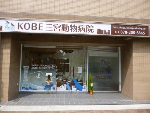 動物看護師／看護助手募集