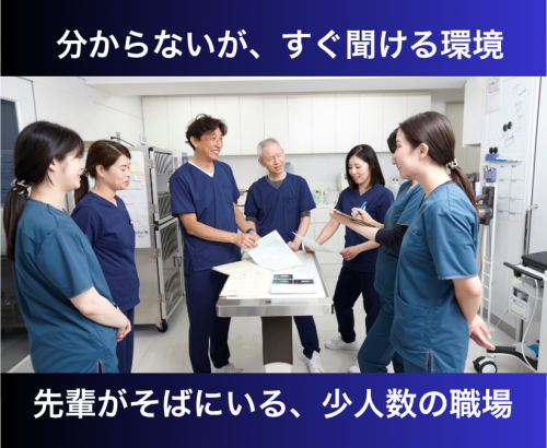 【世田谷】看護師｜眼科未経験OK｜看護師の仕事がある病院