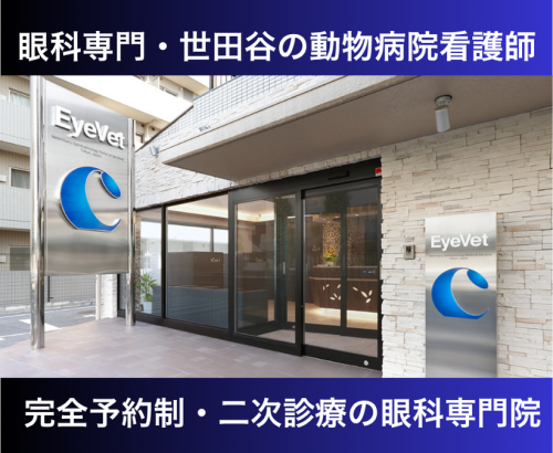 【世田谷】看護師｜眼科未経験OK｜看護師の仕事がある病院