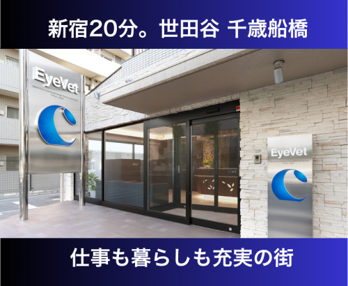 【世田谷】看護師｜一般診療看護力を専門医療で活かしませんか？
