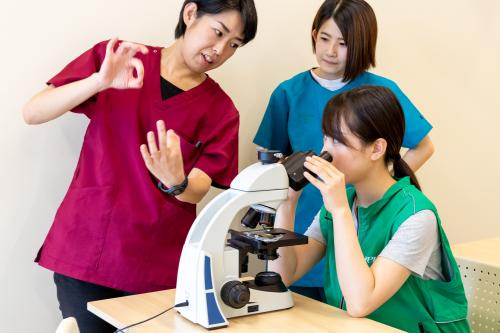 【講師・講師アシスタント】動物看護師