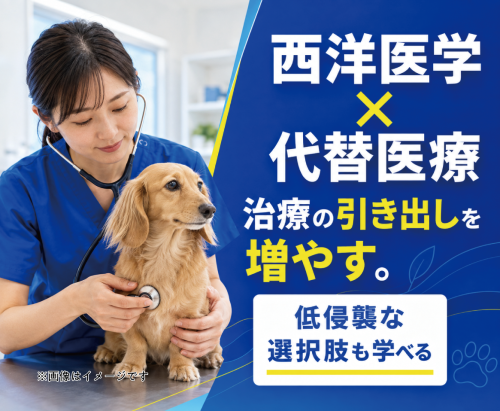 【新潟市】獣医師｜代替医療も学べる｜月給42万～・残業ほぼ0