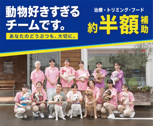 【新潟市】獣医師｜代替医療も学べる｜月給42万～・残業ほぼ0