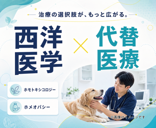 【新潟市】パート獣医師｜代替医療も学べる｜週2午前のみ可
