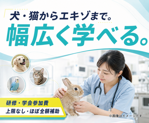 【新潟市】パート獣医師｜代替医療も学べる｜週2午前のみ可