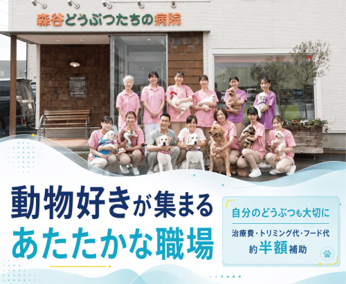 【新潟市】パート獣医師｜代替医療も学べる｜週2午前のみ可