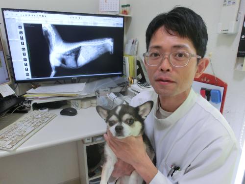 トリマー兼動物看護補助（動物看護の経験は問わず）