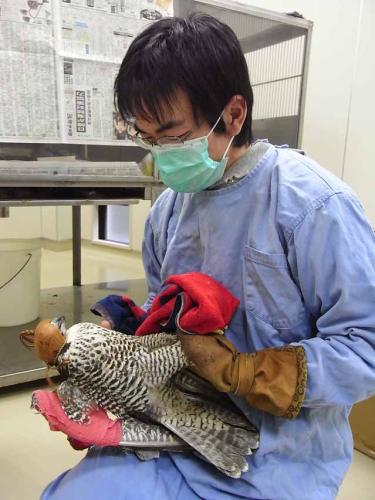動物看護・動物飼育のスタッフ募集