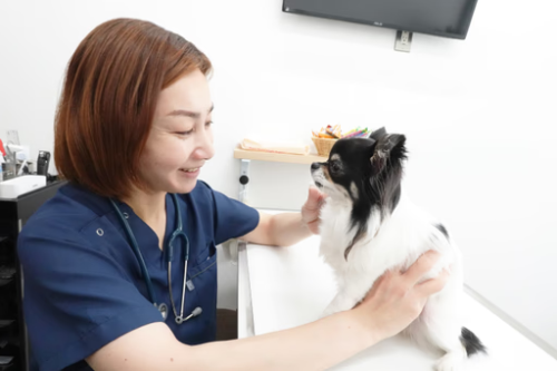 愛玩動物看護師｜幡ヶ谷院｜動物医療センターPecoグループ