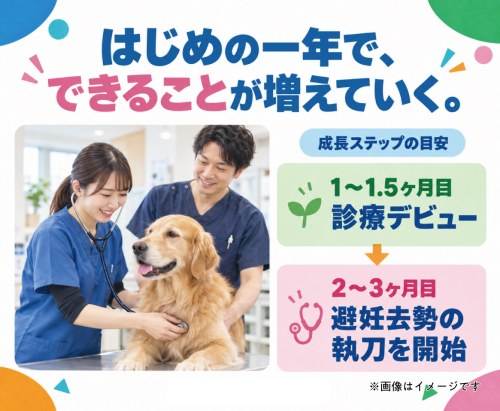 【新卒】獣医師｜一年後、笑って成長した自分へ