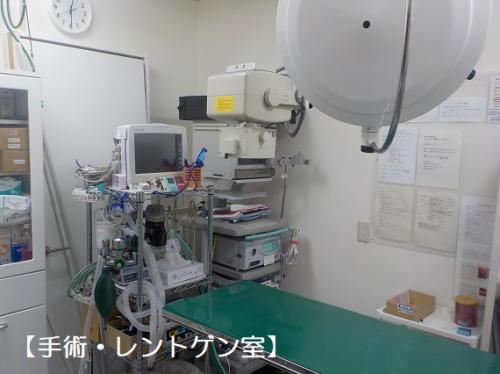 動物看護師、診療助手（動物看護科既卒者、パート可）