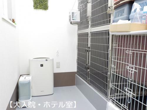 動物看護師、診療助手（動物看護科既卒者、パート可）
