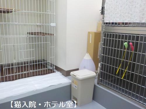 動物看護師、診療助手（動物看護科既卒者、パート可）