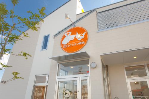 保護犬猫にも優しい医療を。プライベートを大切にできる働き方！