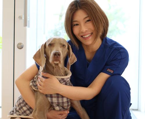 保護犬猫にも優しい医療を。プライベートを大切にできる働き方！