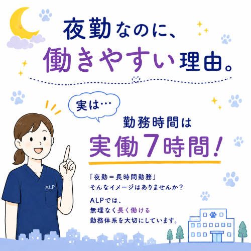 新規開院！獣医師募集！夜間救急専門！宇都宮夜間どうぶつ病院
