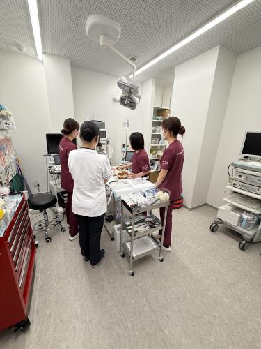 新規開院！獣医師募集！夜間救急専門！宇都宮夜間どうぶつ病院