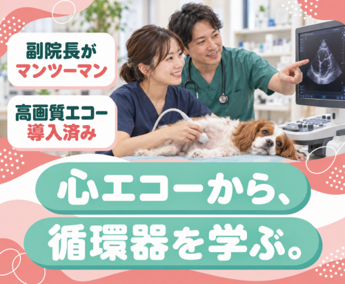 【獣医師】週1～OK｜時短相談可｜神楽坂