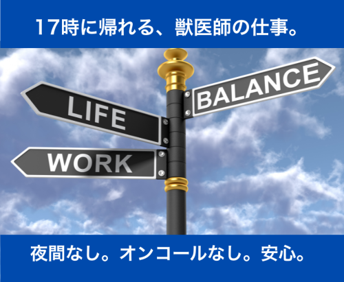 【パート獣医師】週1～OK ｜日祝休み｜17時退勤｜中標津町