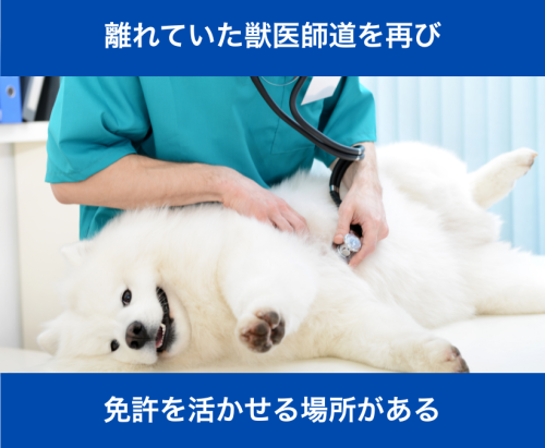 【獣医師】ブランクOK ｜日祝休み｜17時退勤｜中標津町