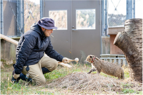 動物看護・動物飼育のスタッフ募集