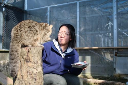 動物看護・動物飼育のスタッフ募集