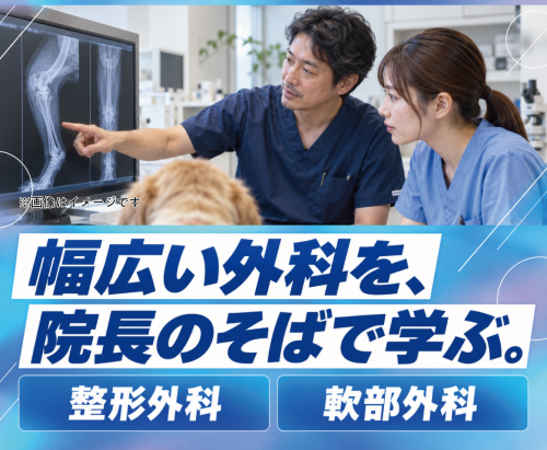 獣医師｜CT完備の1.5次診療｜仕事WLB人間関係が充実