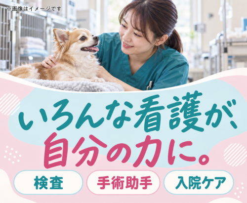 【貴重な日祝休み】尼崎｜動物看護師｜17時半退勤｜未経験可