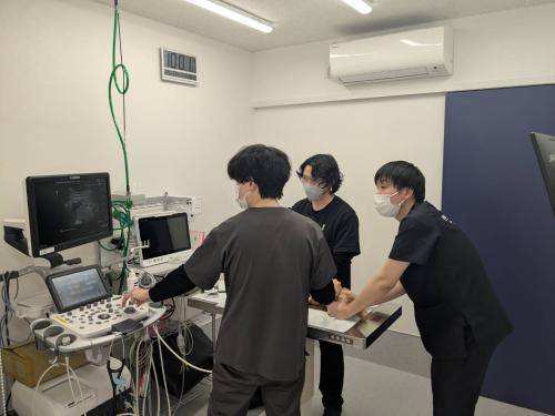 仕事とプライベートを充実させたい獣医師募集！