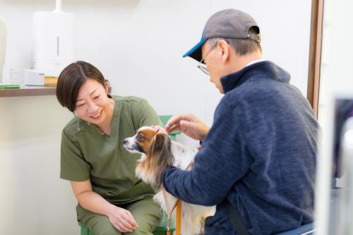トリマーさん募集。動物病院経験者優遇！