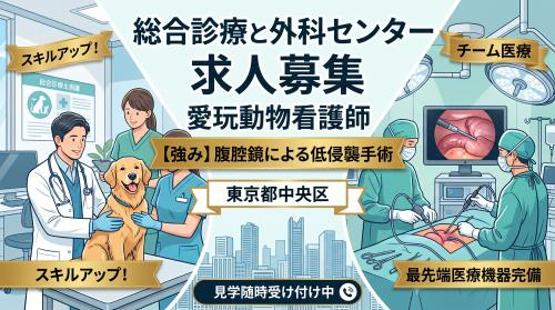 茅場町ウィズマル動物外科センター【オープニング看護師募集！】