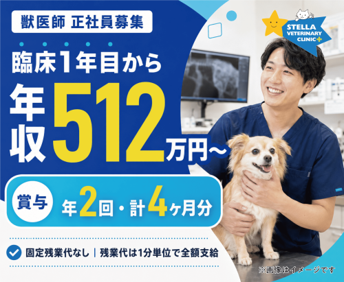 【日祝休み】獣医｜賞与4ヶ月｜独立支援｜症例1日100件以上