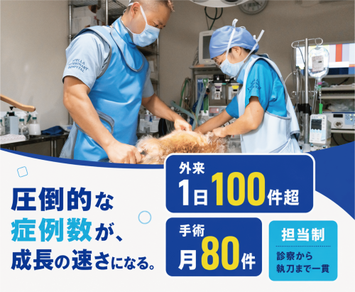【日祝休み】獣医｜賞与4ヶ月｜独立支援｜症例1日100件以上
