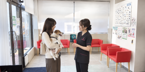★週2～3日OK【経験者トリマー募集】DCC動物病院 相模原