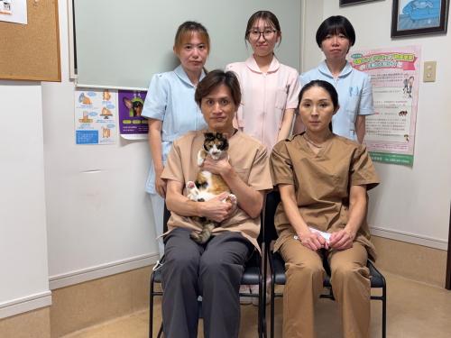 動物看護師、看護助手、受付等募集