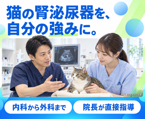 【厚木市】獣医師｜腎泌尿器を学べる｜認定医取得支援あり
