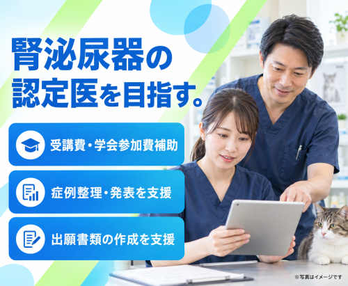 【厚木市】獣医師｜腎泌尿器を学べる｜認定医取得支援あり