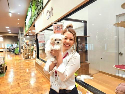 【ペットショップワンラブ】イオンタウン須賀川店　トリマー募集