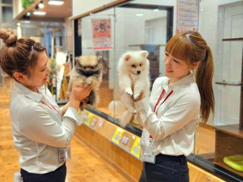 【ペットショップワンラブ】イオンタウン須賀川店　トリマー募集