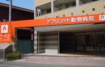 習志野市　動物病院　看護師（正社員か週２～３のパート）募集　