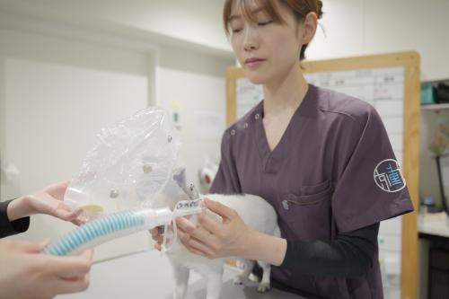経験者優遇 月給25万〜｜二次診療×専門10科で極める看護師
