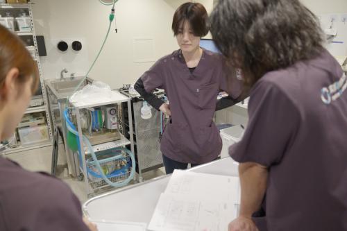 経験者優遇 月給25万〜｜二次診療×専門10科で極める看護師