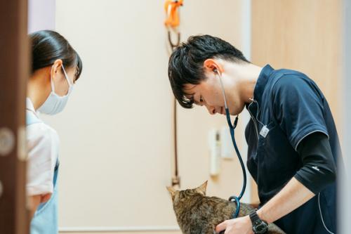 【新卒・動物看護師】愛知県あま市！成長を実感できる動物病院